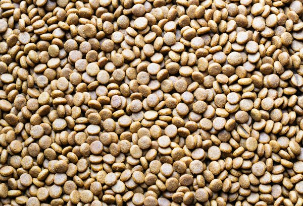 Les Clés d'un Sommeil Réparateur chez les Seniors : L'Impact Surprenant de l'Alimentation